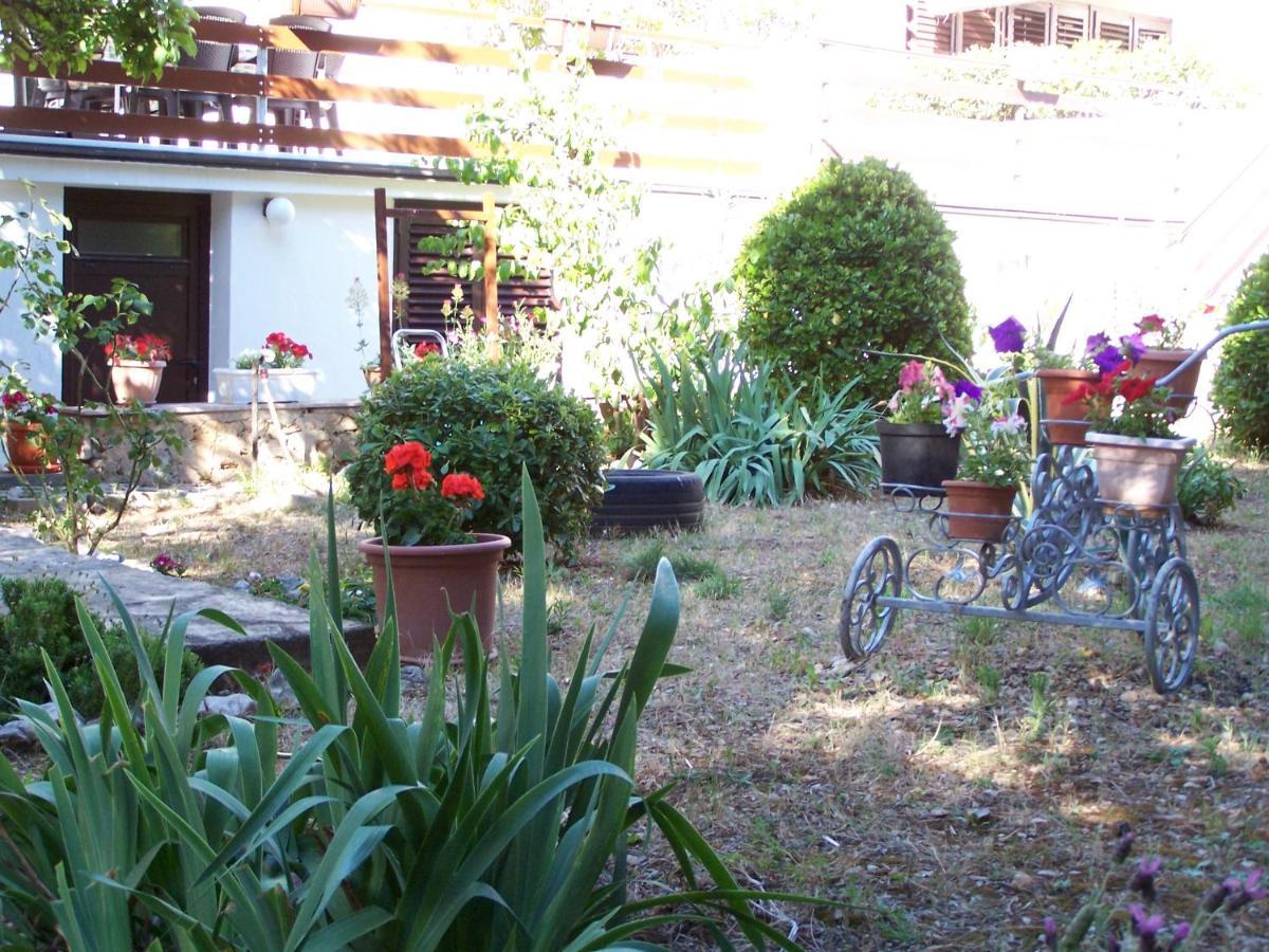 Apartments Sestan Novaglia Esterno foto